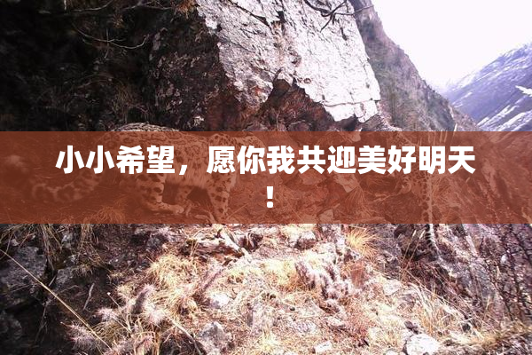 小小希望，愿你我共迎美好明天！