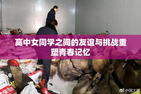高中女同学之间的友谊与挑战重塑青春记忆