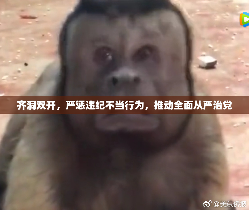 齐洞双开，严惩违纪不当行为，推动全面从严治党