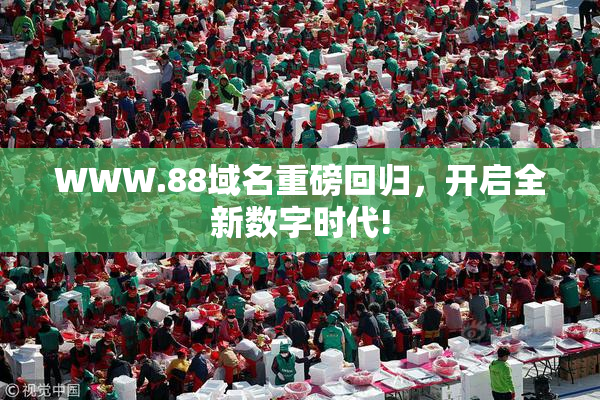 WWW.88域名重磅回归，开启全新数字时代!