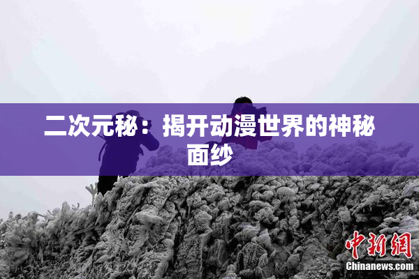 二次元秘：揭开动漫世界的神秘面纱