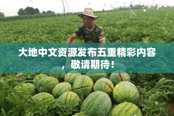 大地中文资源发布五重精彩内容，敬请期待！