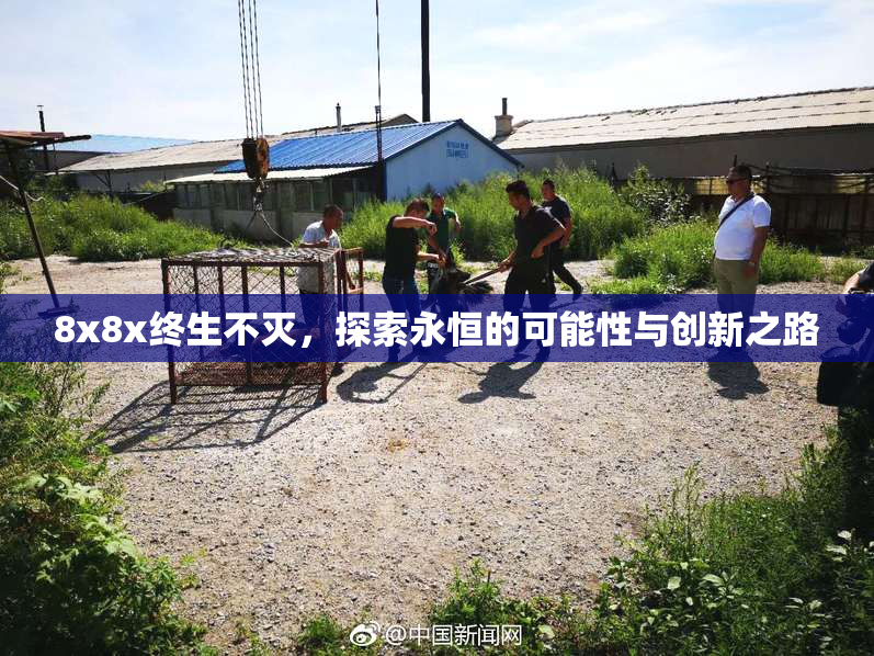 8x8x终生不灭，探索永恒的可能性与创新之路