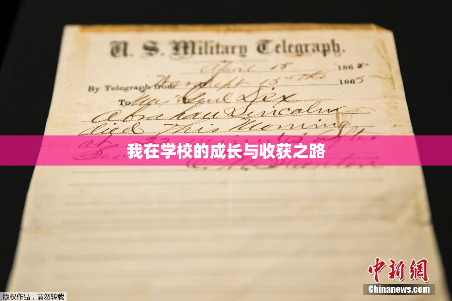 我在学校的成长与收获之路