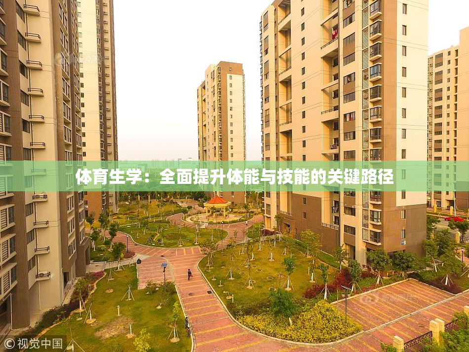 体育生学：全面提升体能与技能的关键路径