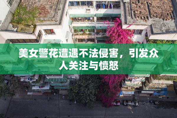 美女警花遭遇不法侵害，引发众人关注与愤怒