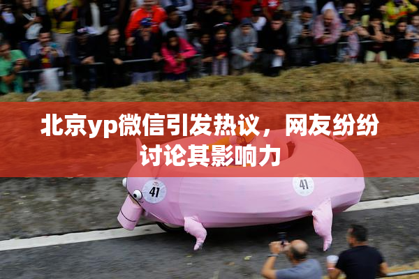 北京yp微信引发热议，网友纷纷讨论其影响力