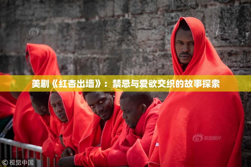 美剧《红杏出墙》：禁忌与爱欲交织的故事探索