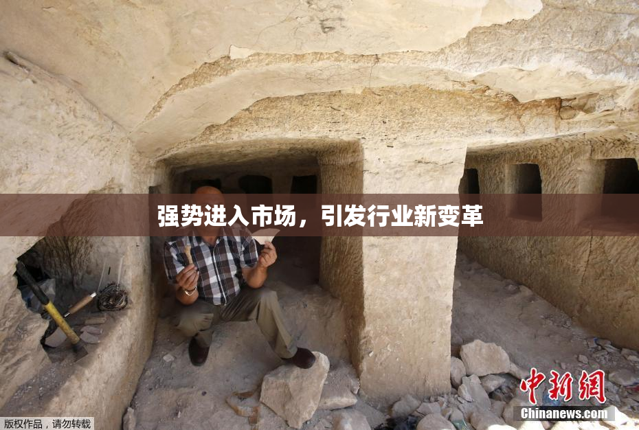 强势进入市场，引发行业新变革