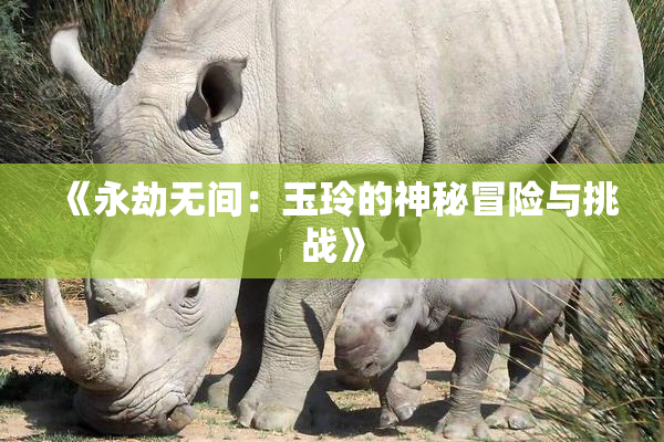 《永劫无间：玉玲的神秘冒险与挑战》