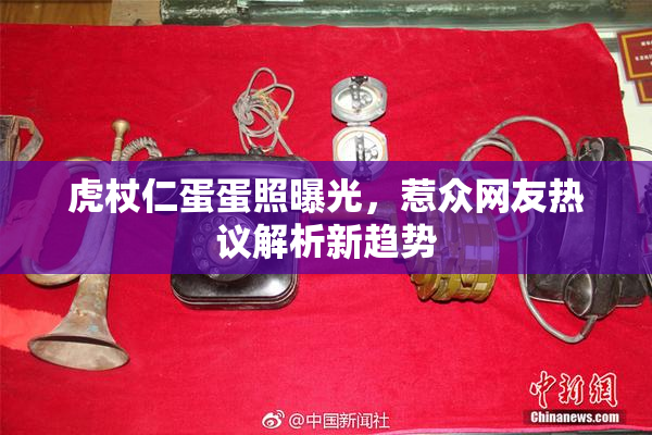 虎杖仁蛋蛋照曝光，惹众网友热议解析新趋势
