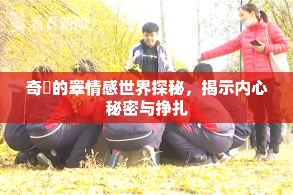 奇犽的睾情感世界探秘，揭示内心秘密与挣扎