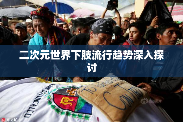 二次元世界下肢流行趋势深入探讨