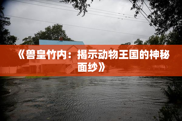 《兽皇竹内：揭示动物王国的神秘面纱》