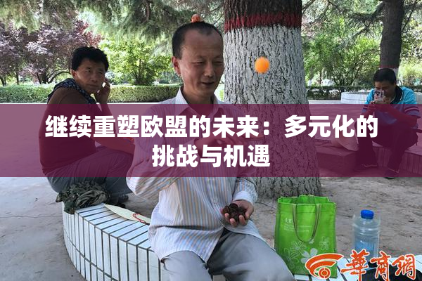 继续重塑欧盟的未来：多元化的挑战与机遇