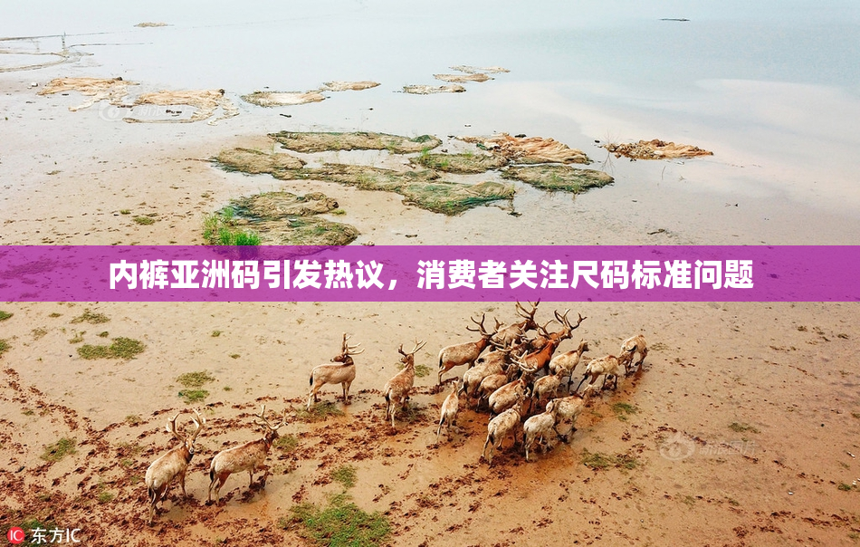 内裤亚洲码引发热议，消费者关注尺码标准问题