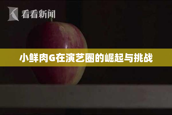 小鲜肉G在演艺圈的崛起与挑战