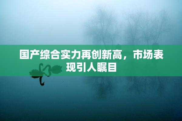 国产综合实力再创新高，市场表现引人瞩目