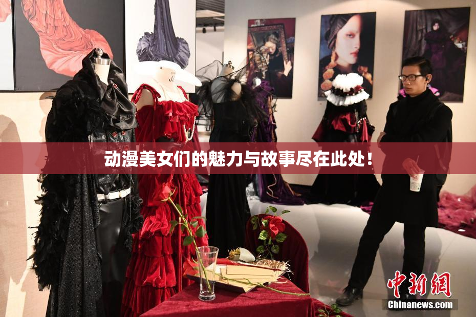 动漫美女们的魅力与故事尽在此处！