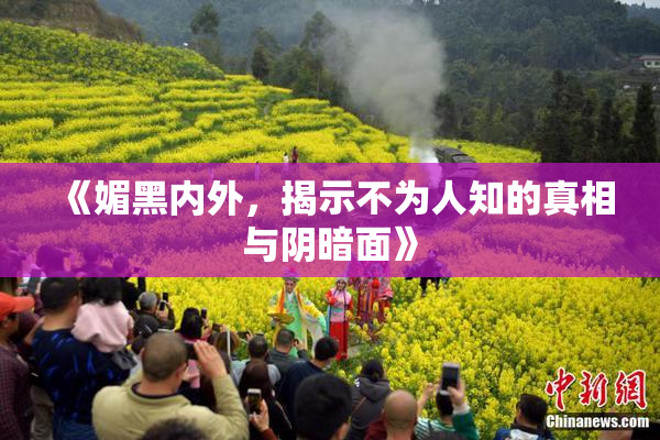 《媚黑内外，揭示不为人知的真相与阴暗面》