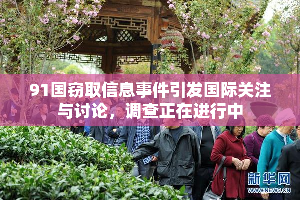 91国窃取信息事件引发国际关注与讨论，调查正在进行中