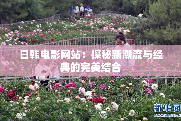 日韩电影网站：探秘新潮流与经典的完美结合