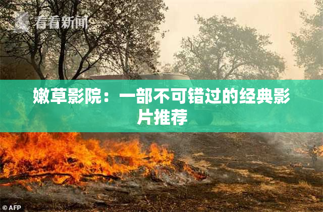 嫩草影院：一部不可错过的经典影片推荐