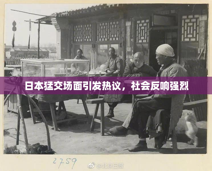 日本猛交场面引发热议，社会反响强烈