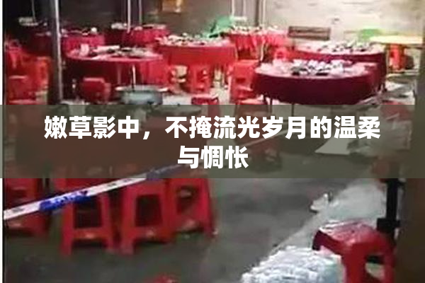 嫩草影中，不掩流光岁月的温柔与惆怅