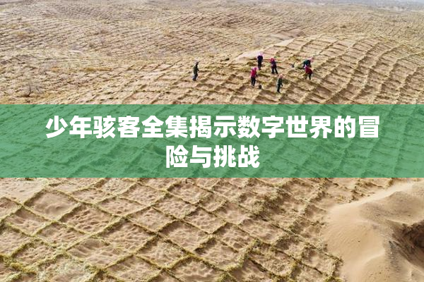 少年骇客全集揭示数字世界的冒险与挑战