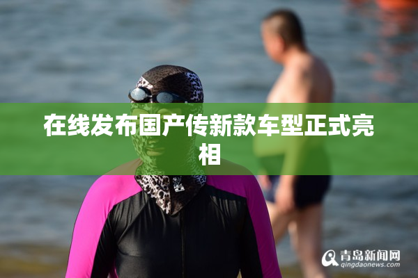 在线发布国产传新款车型正式亮相