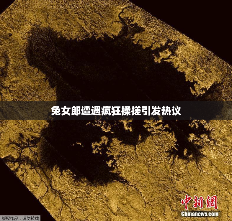 兔女郎遭遇疯狂揉搓引发热议