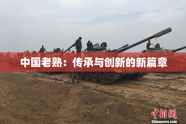 中国老熟：传承与创新的新篇章