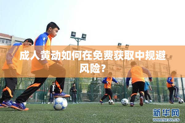 成人黄动如何在免费获取中规避风险？