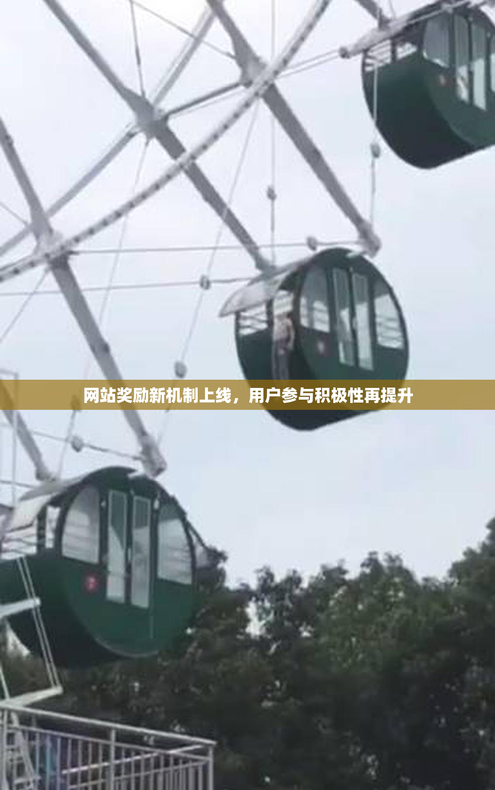 网站奖励新机制上线，用户参与积极性再提升