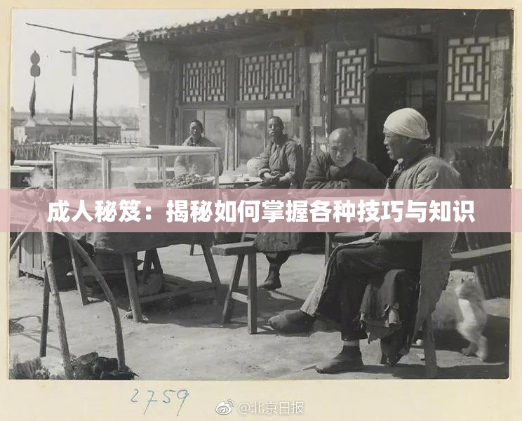 成人秘笈：揭秘如何掌握各种技巧与知识