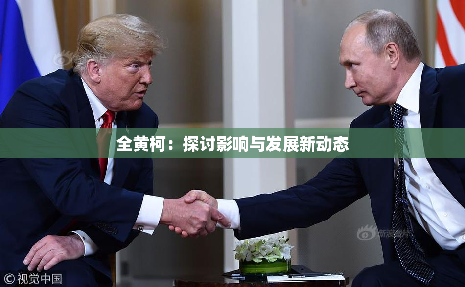 全黄柯：探讨影响与发展新动态
