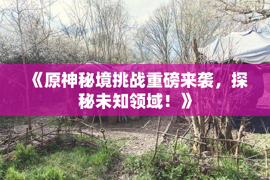 《原神秘境挑战重磅来袭，探秘未知领域！》