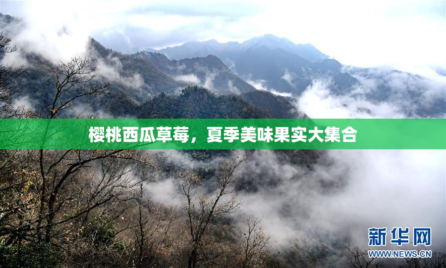 樱桃西瓜草莓，夏季美味果实大集合