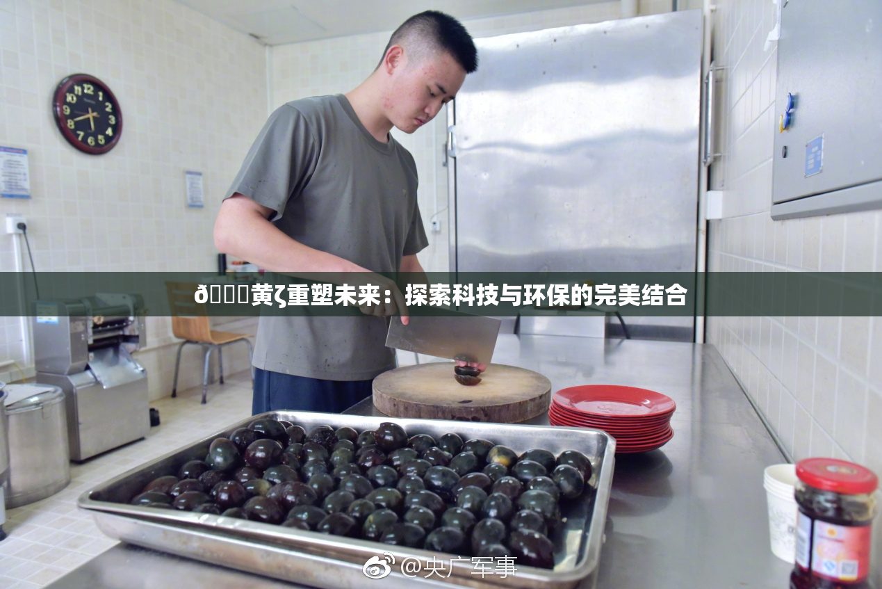 🔞黄ζ重塑未来：探索科技与环保的完美结合