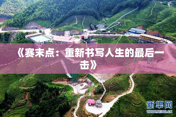 《赛末点：重新书写人生的最后一击》