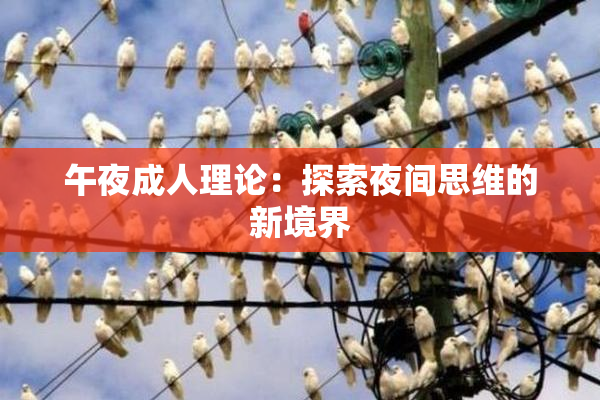 午夜成人理论：探索夜间思维的新境界