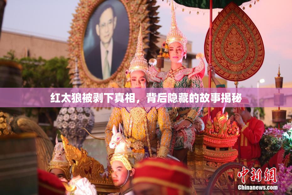 红太狼被剥下真相，背后隐藏的故事揭秘