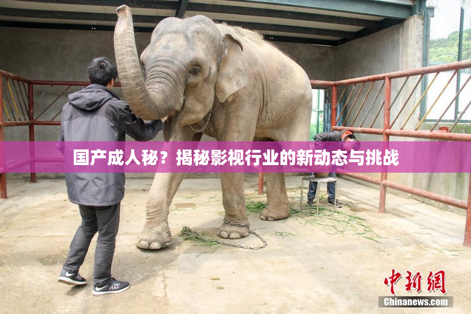 国产成人秘？揭秘影视行业的新动态与挑战