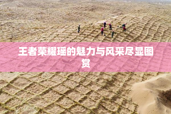 王者荣耀瑶的魅力与风采尽显图赏