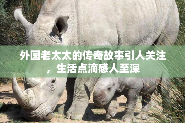 外国老太太的传奇故事引人关注，生活点滴感人至深