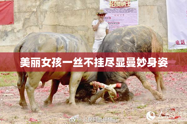 美丽女孩一丝不挂尽显曼妙身姿