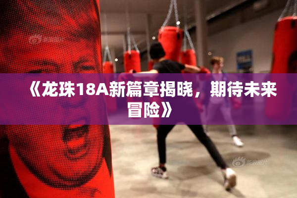 《龙珠18A新篇章揭晓，期待未来冒险》