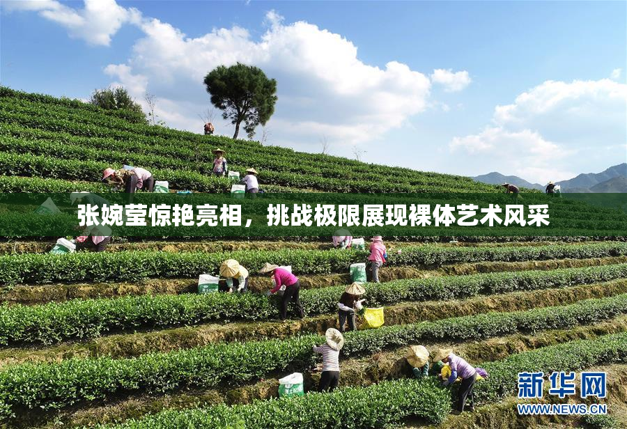张婉莹惊艳亮相，挑战极限展现裸体艺术风采
