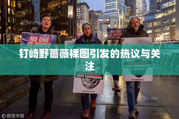 钉崎野蔷薇裸图引发的热议与关注